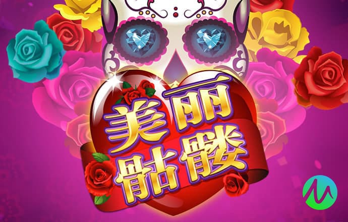 bibo体育官网入口